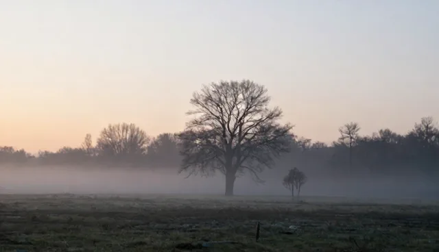 系统实施中性能与适用条件的优化建议